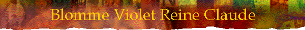 Blomme Violet Reine Claude