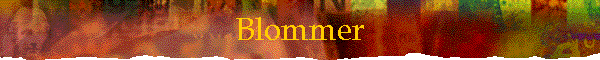 Blommer