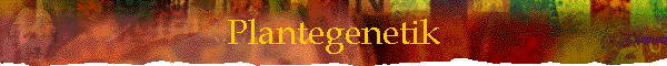 Plantegenetik