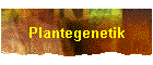 Plantegenetik