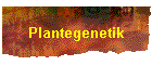 Plantegenetik