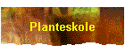 Planteskole