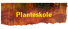Planteskole